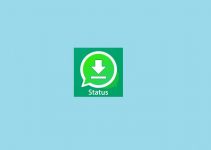 How To Download Photos & Videos In WhatsApp Status