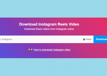 How to Download Instagram Reels Videos Using Instagram Downloader 3